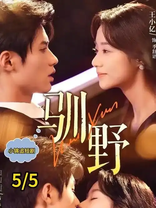长街灯火都市情感电视剧在线观看